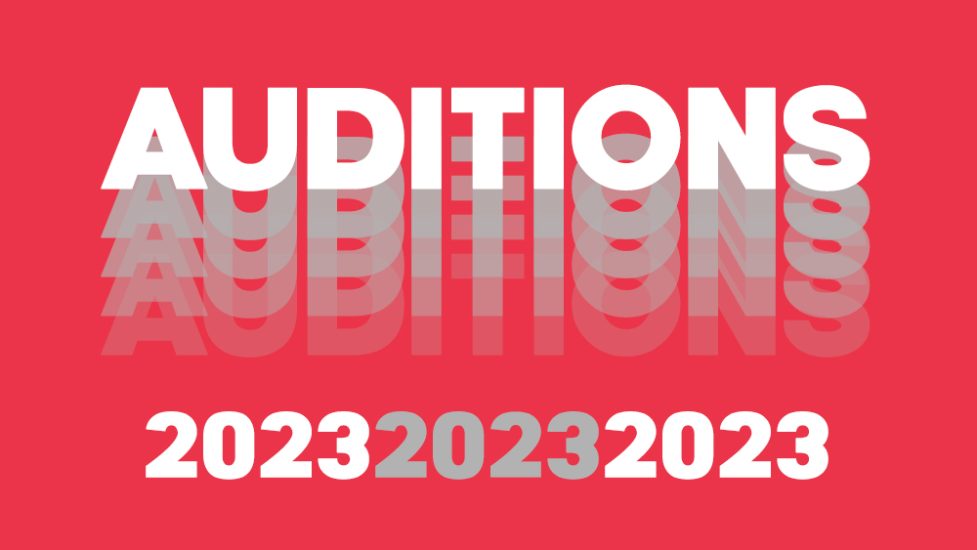 General Auditions 20232024 Theatre New Brunswick